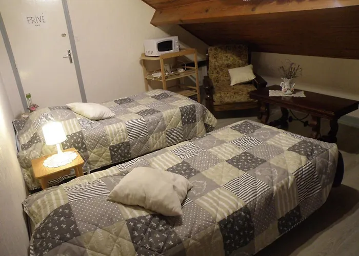 Cosy Avec Cheminee Et Animaux Acceptes - Fr-1-585-144